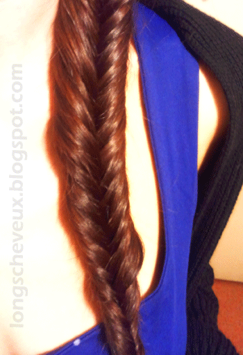 coiffure tresse deux brins
